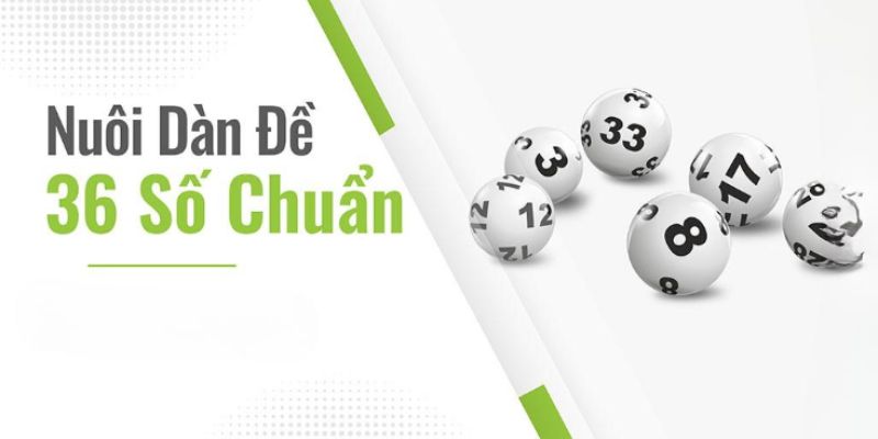 Các kiểu đánh dàn đề 36 số hiệu quả nhất