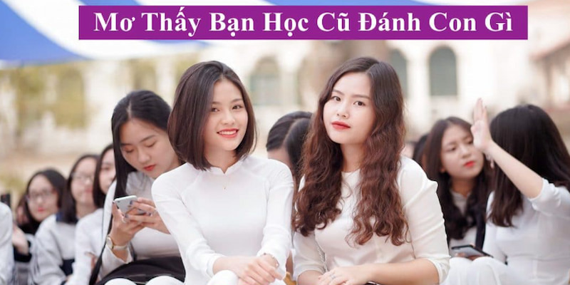 Chiêm bao bạn học cũ nên đánh số nào để tài lộc?