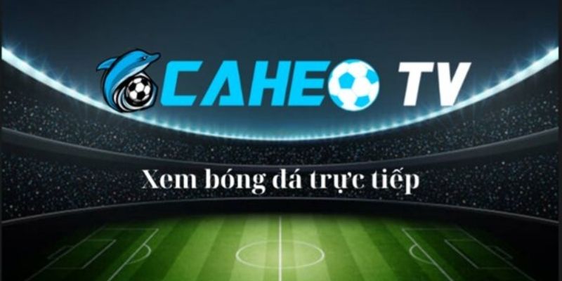 Đôi nét về Cá Heo TV