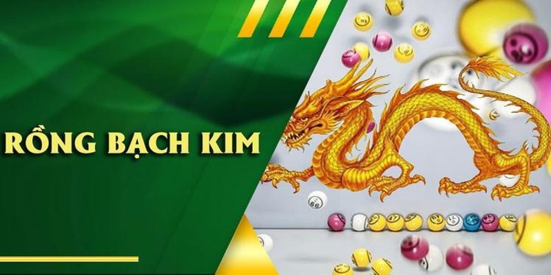 Cách hình thức soi Rồng Bạch Kim phong phú