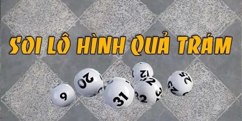 Soi cầu quả trám