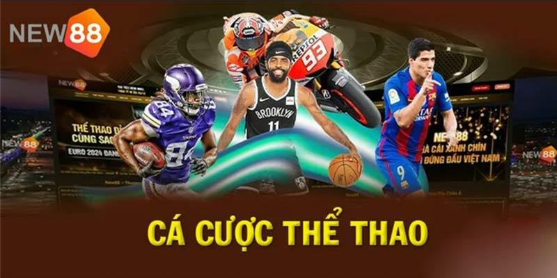 Cá cược thể thao hoành tráng tại NEW88